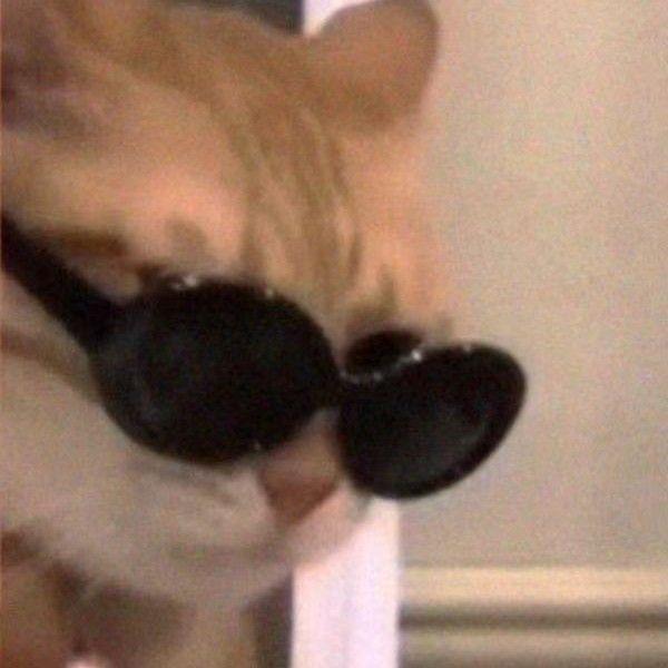 每天都想睡睡睡大觉