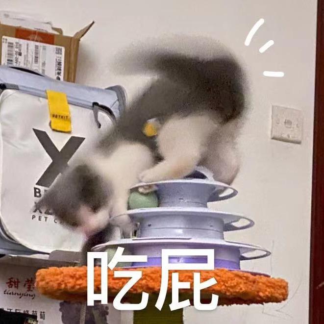 没有虎皮的鸡爪