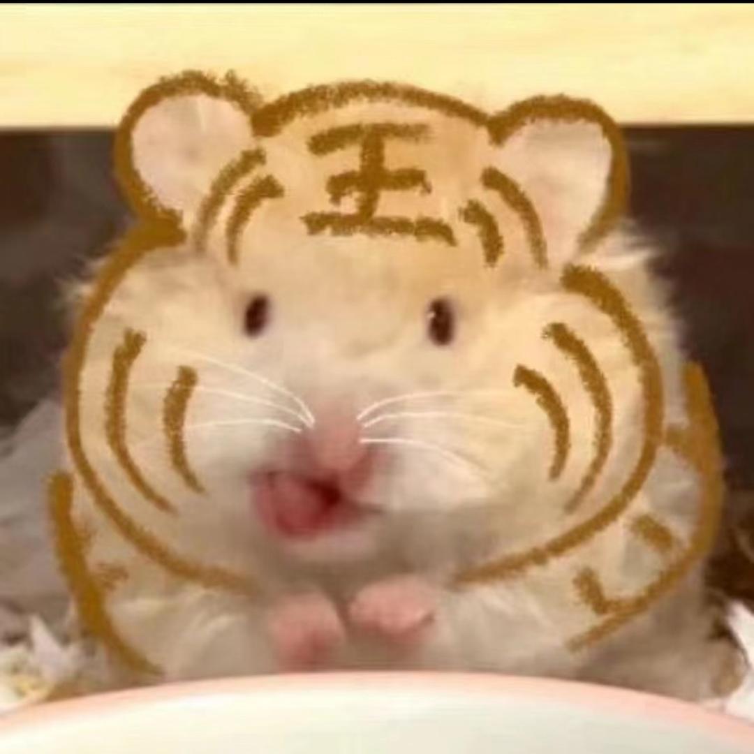 No.30阿鑫