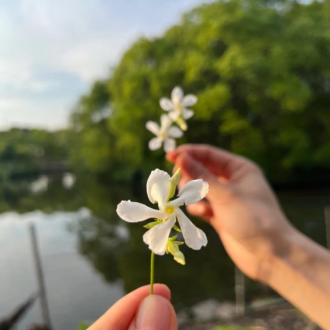 @一米阳光🌸