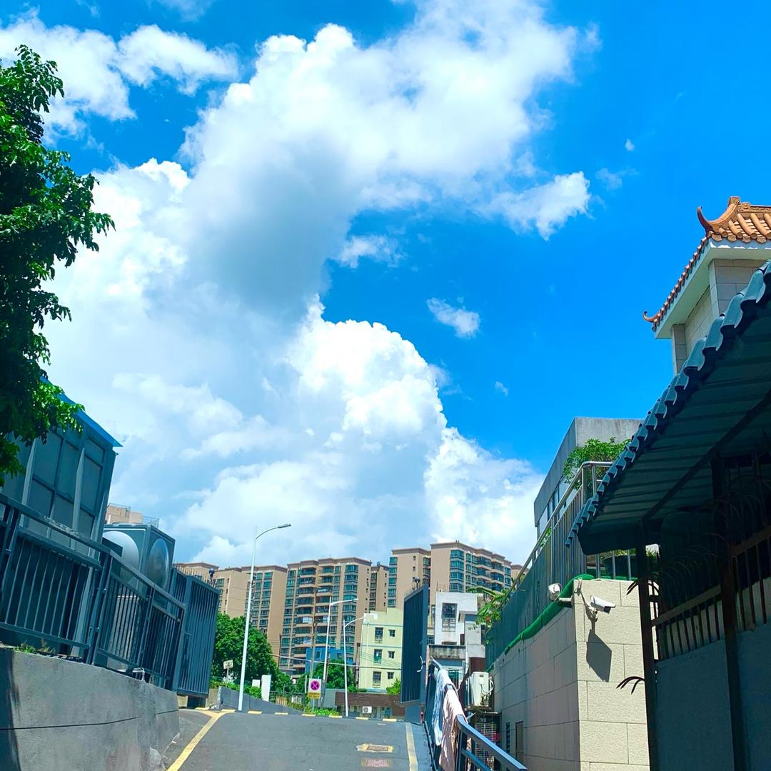 偷個夏天過冬