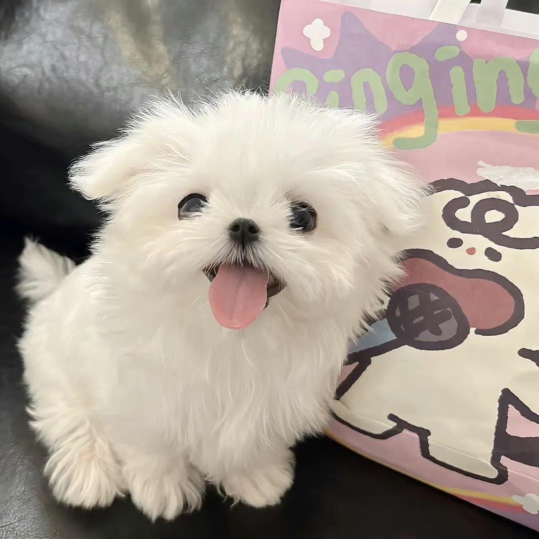 我是一个人儿