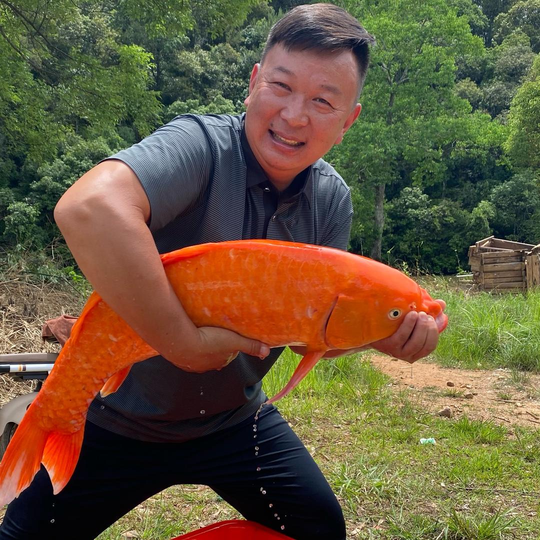 天门峡50钓一天，十五年未清库