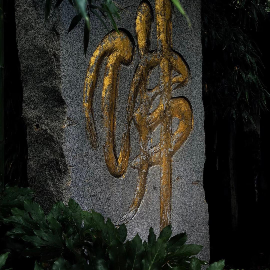 前世今生的蝴蝶