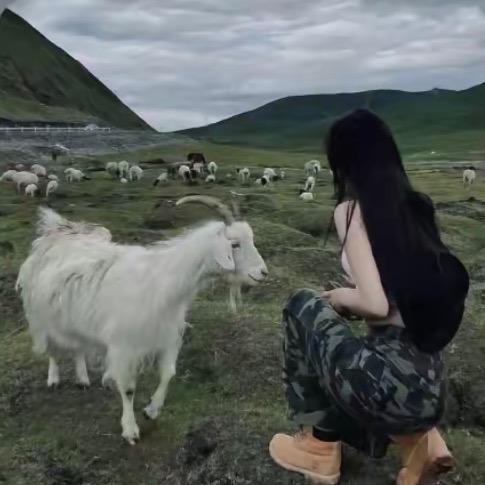 小白不凡