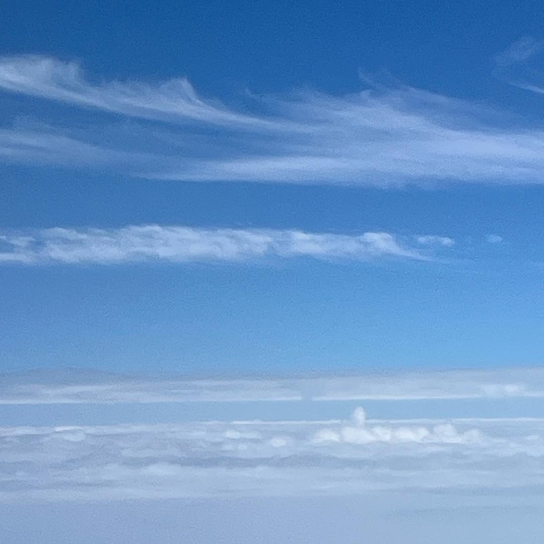 中藏艺术馆