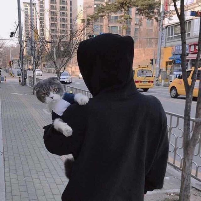 -杨杨得亿。