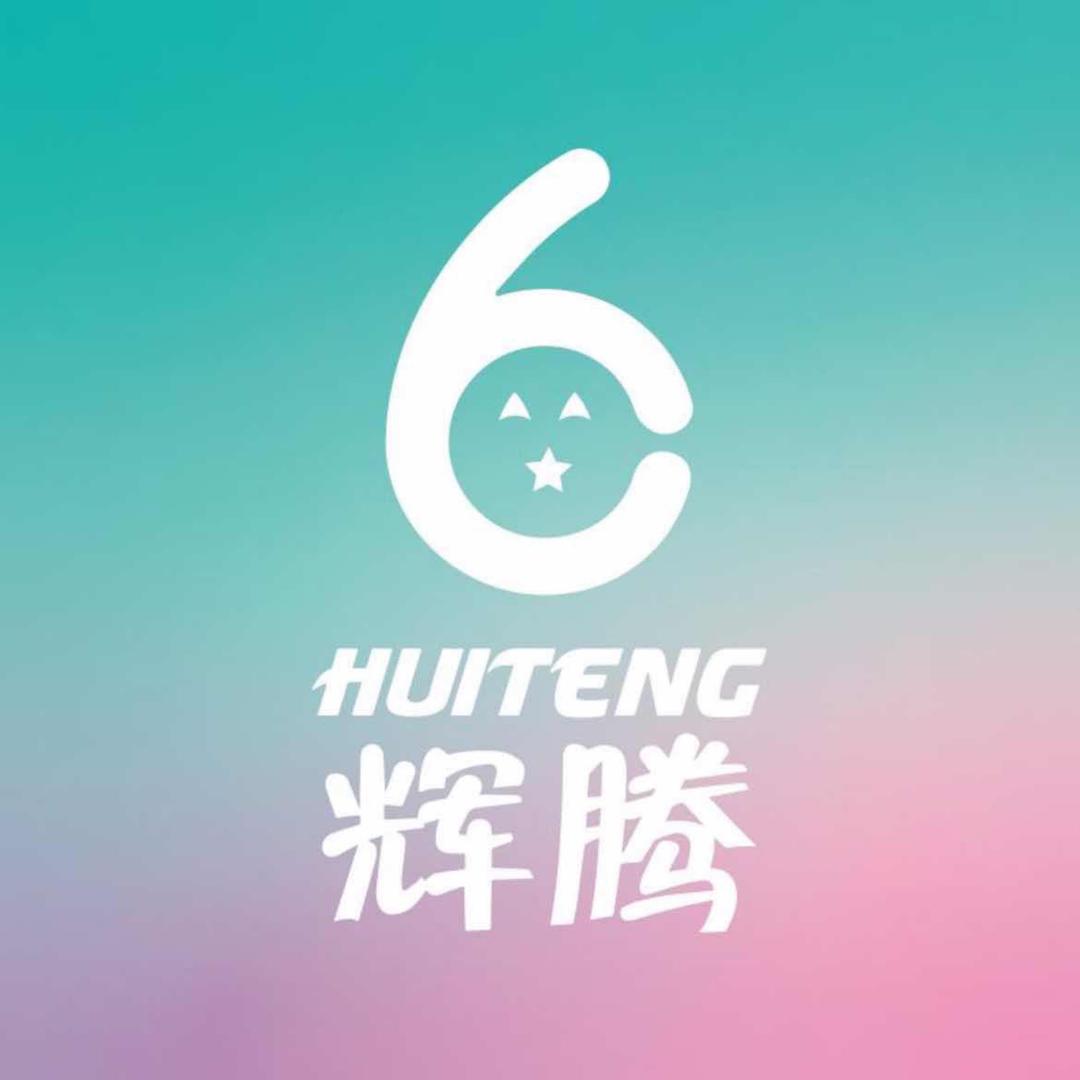 辉腾HUITENG官方旗舰店