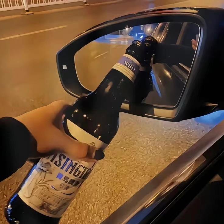 摆烂的蛆