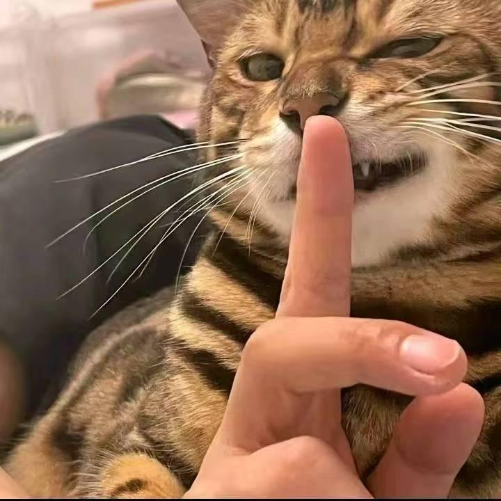 南城