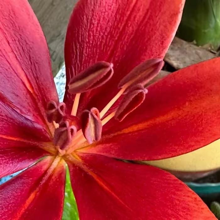 快乐每一天🌷
