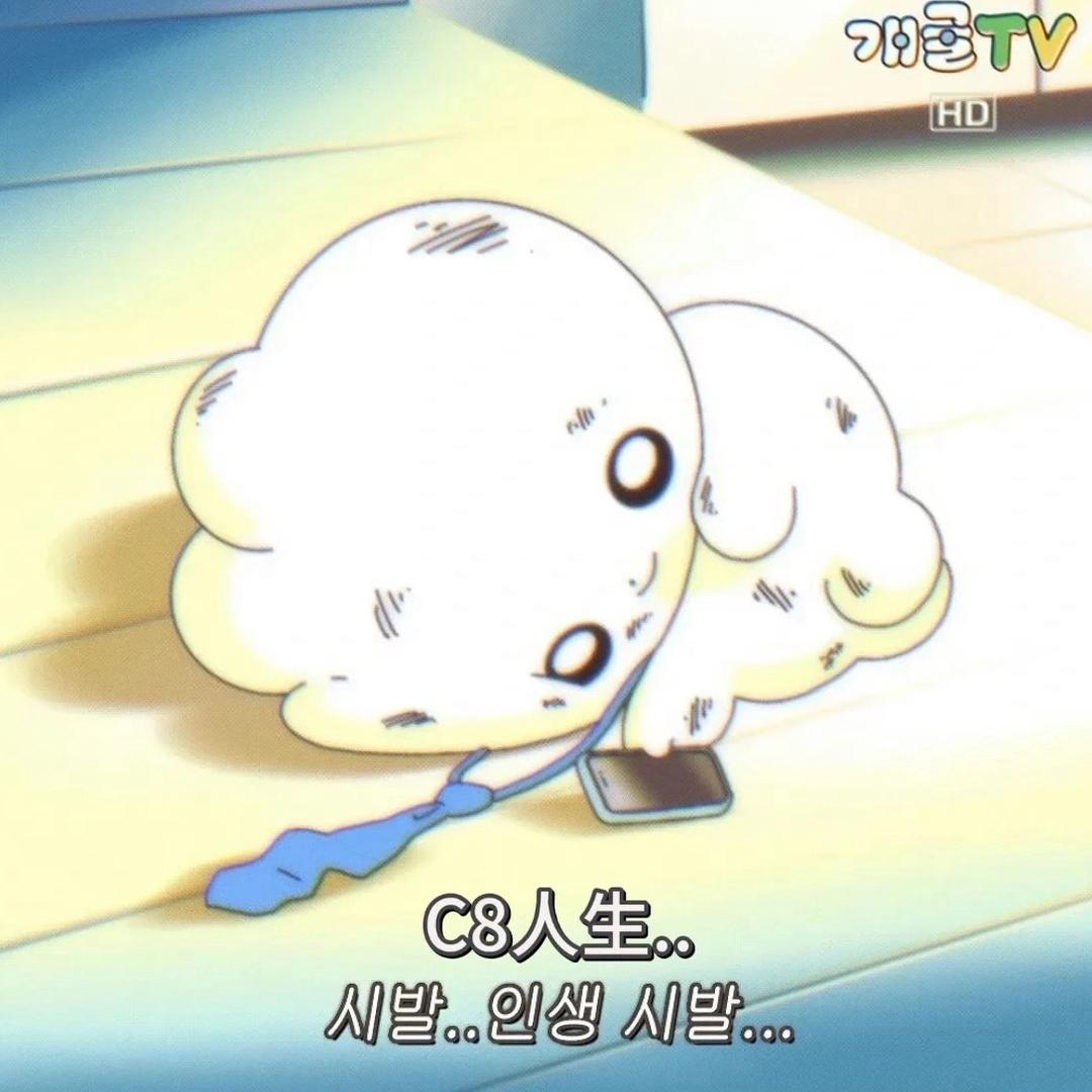 面包创可贴