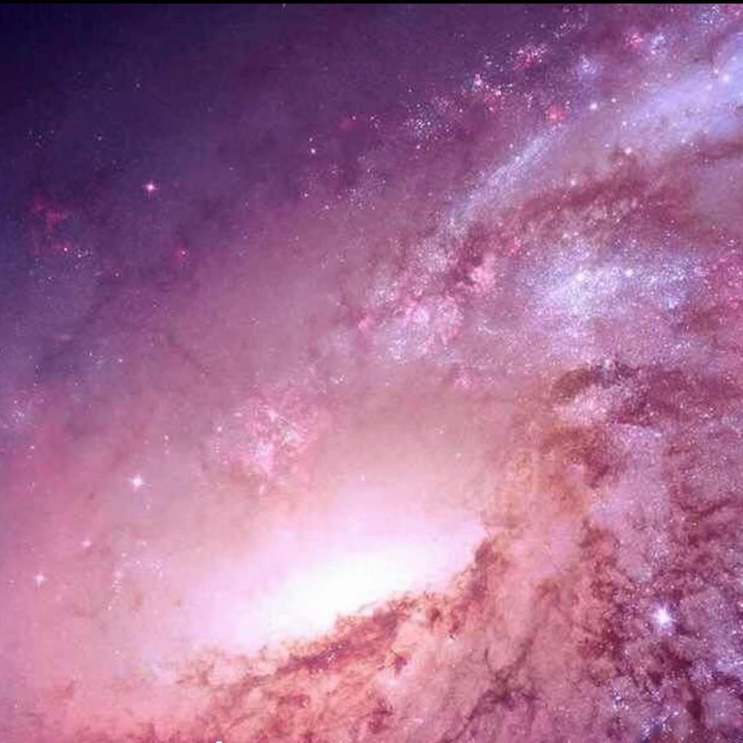 我超幸运啊（咬牙硬装🏠）