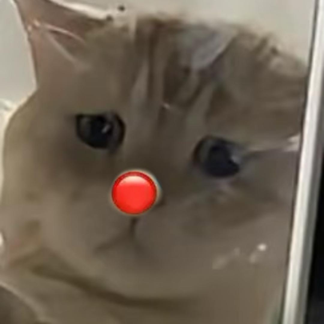 的地得