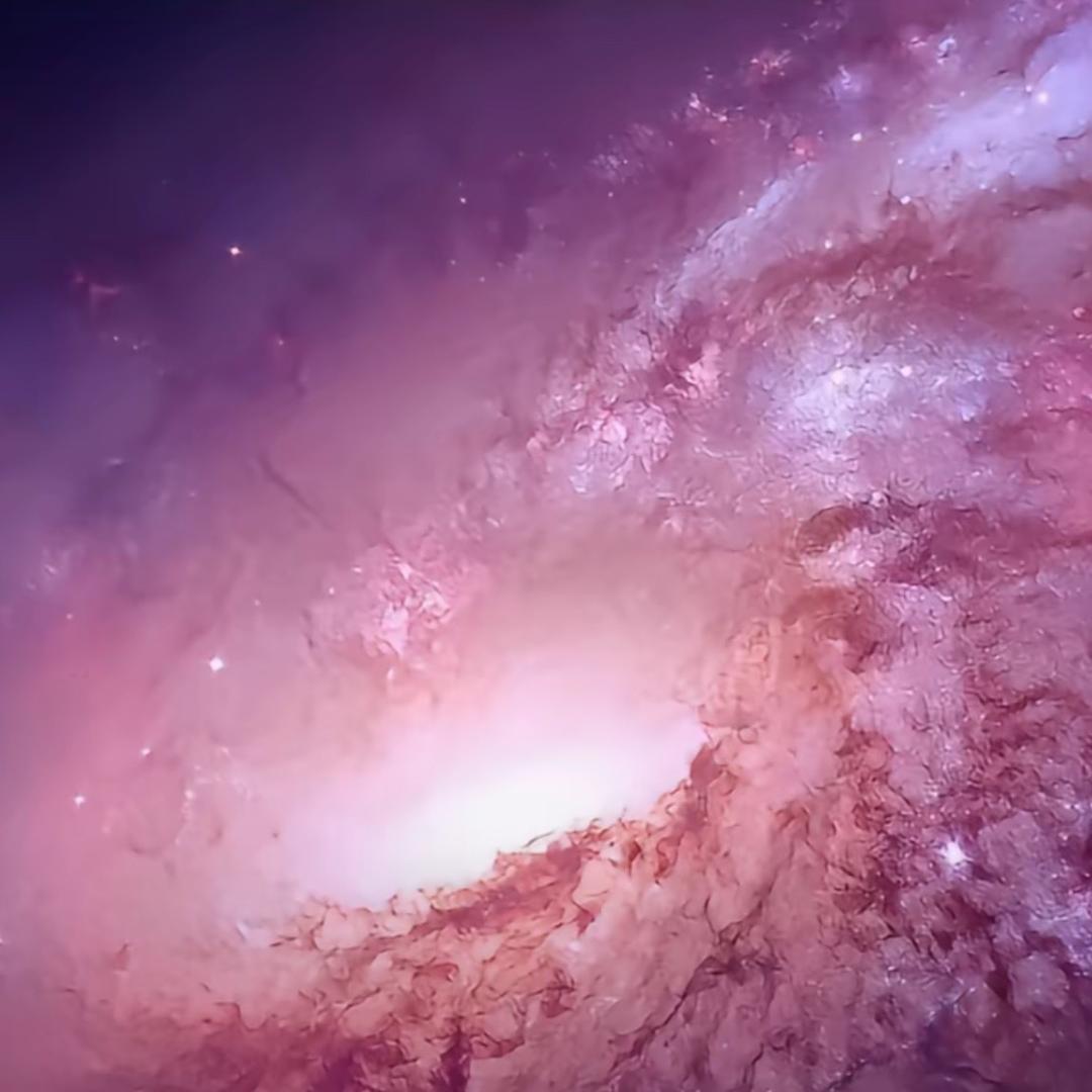 🫧蒙🎭妹儿🚩（奇奇）