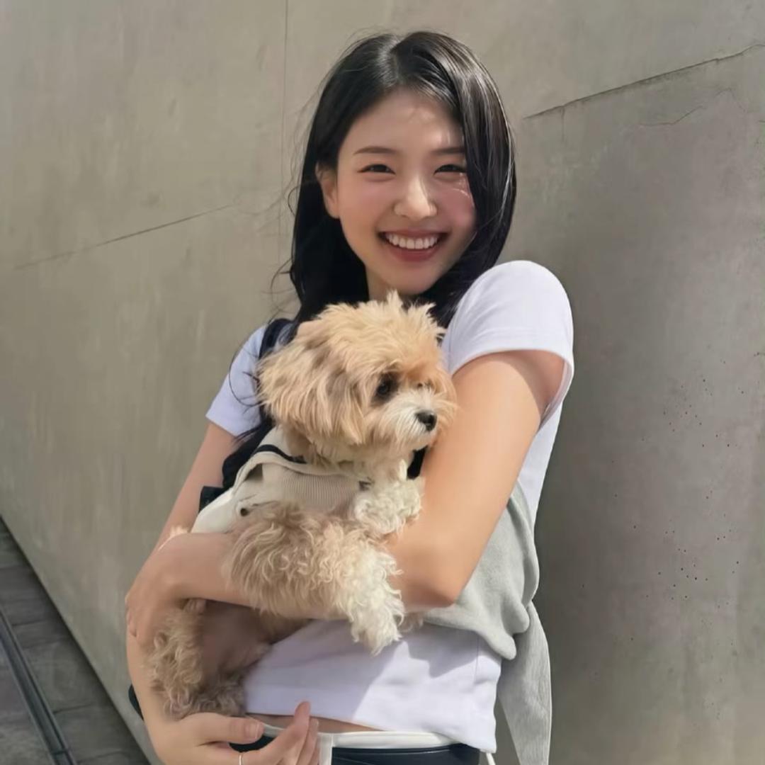 红薯7🍠