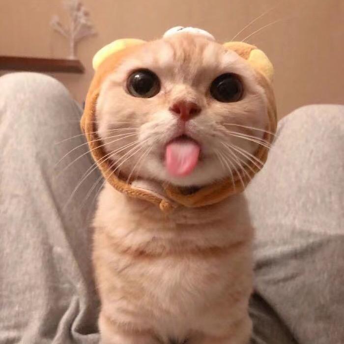 百般红紫斗芳菲