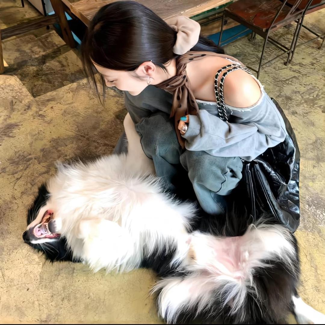 猫🐱