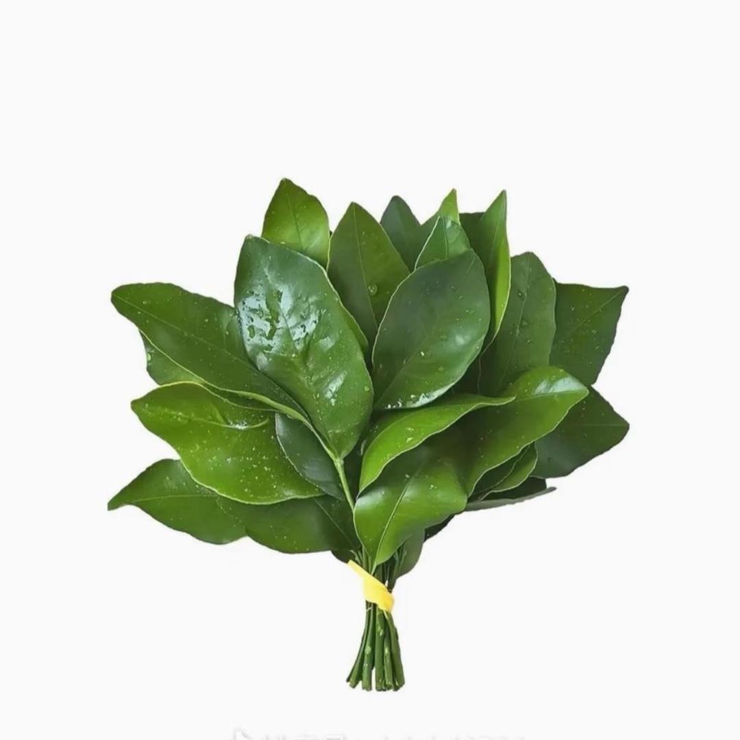 菲菲