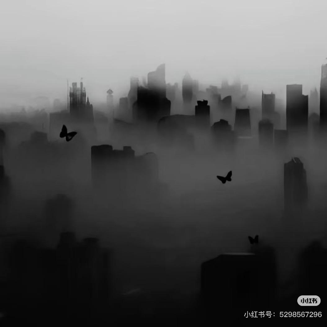 未来可期
