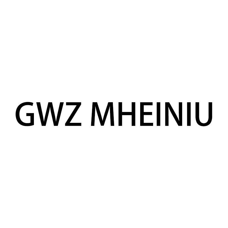 GWZ MHEINIU眼镜