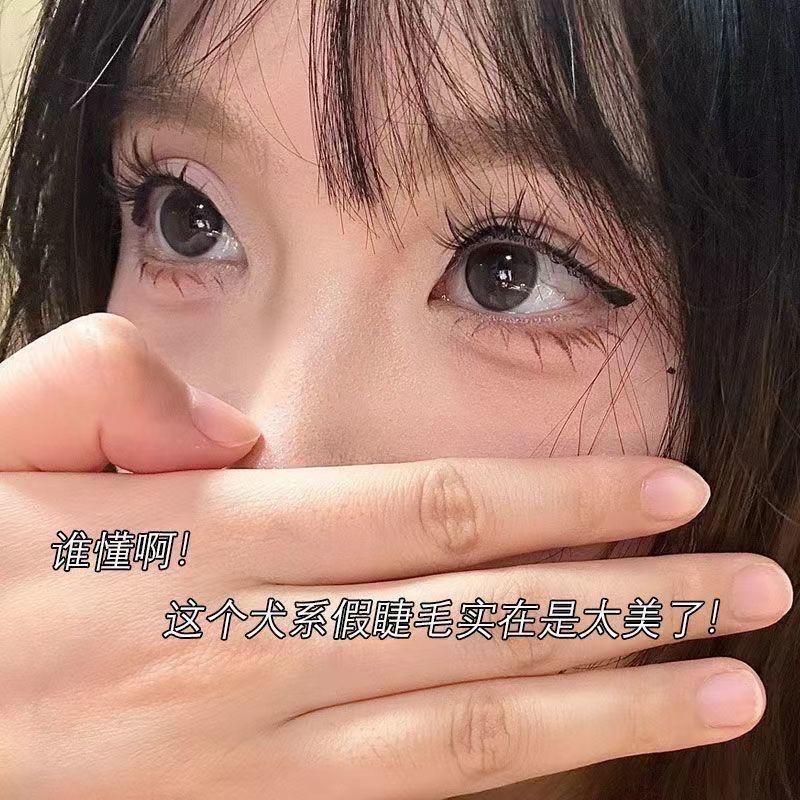 喵喵咪~~