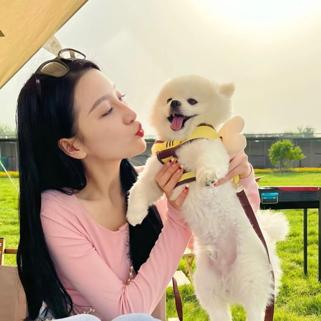 太阳当空赵🏜️