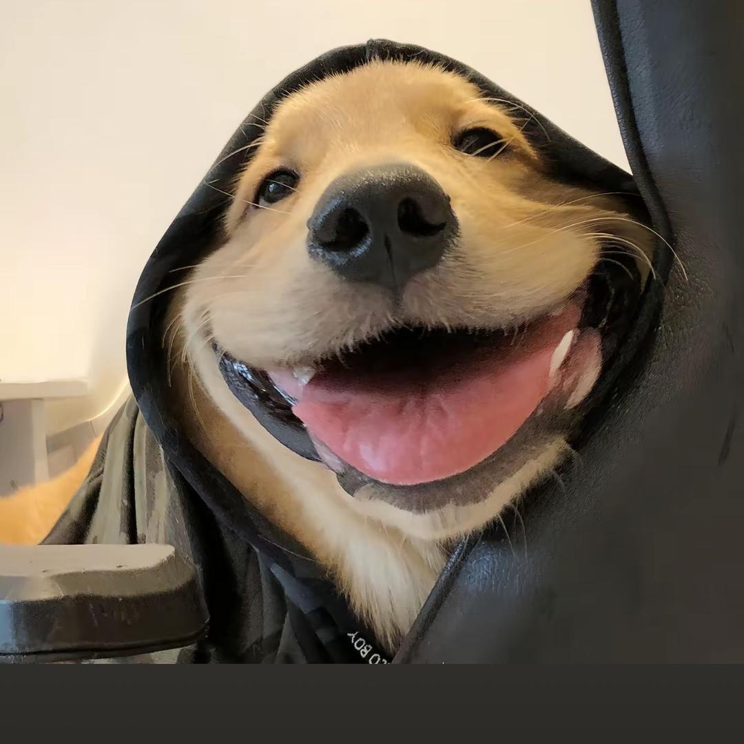 拾五.