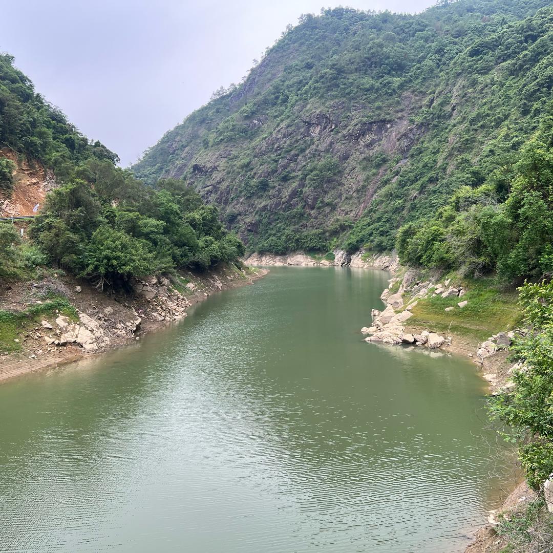 陆河叶华