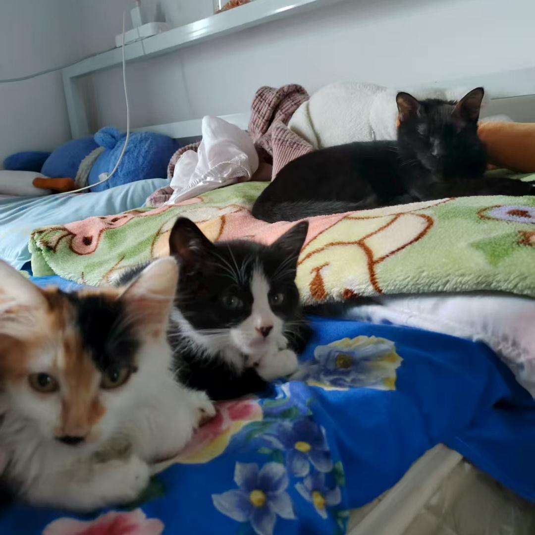 九亿少男的噩梦