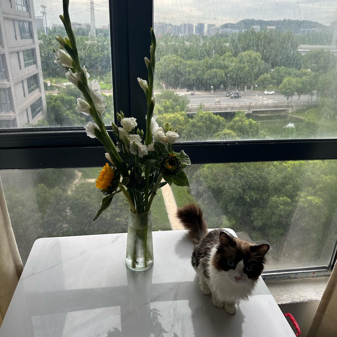 一蓑烟雨任平生·