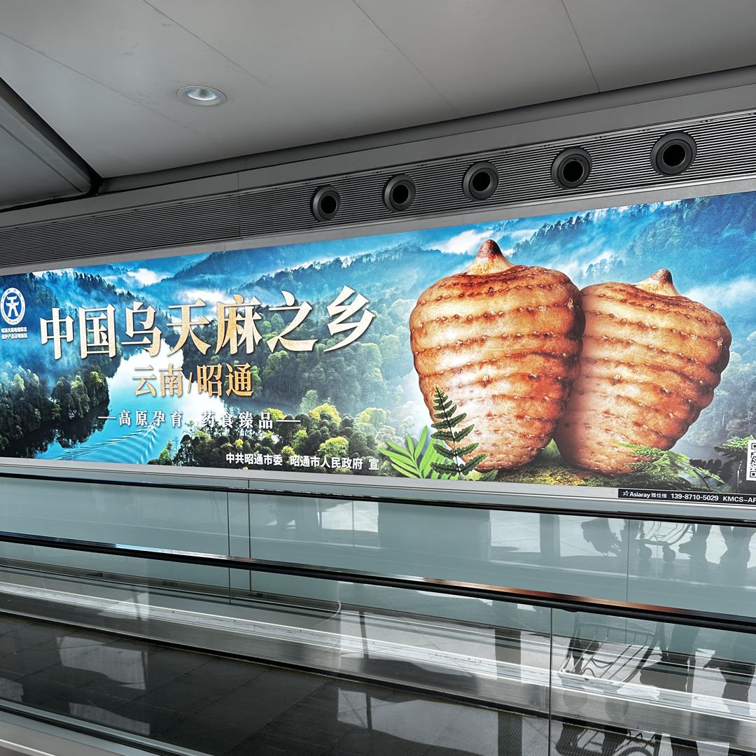 南安市水头山野滋补好货店