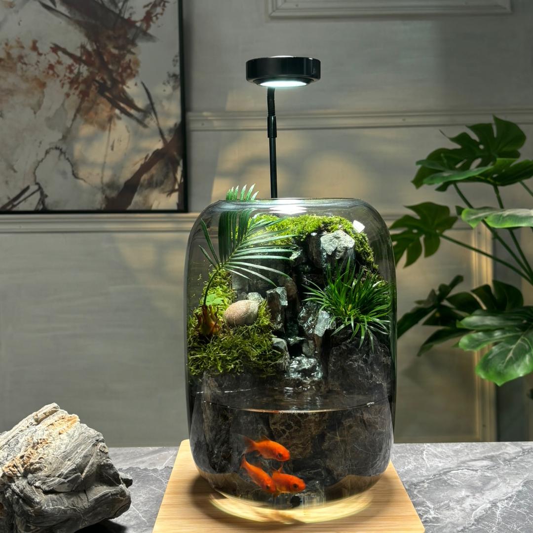 石生泉桌面微景观