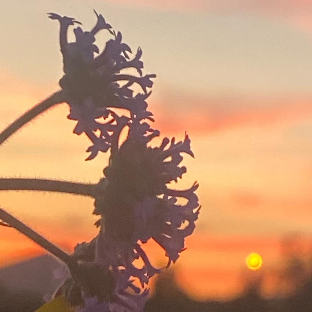 抱着闺女打游戏……