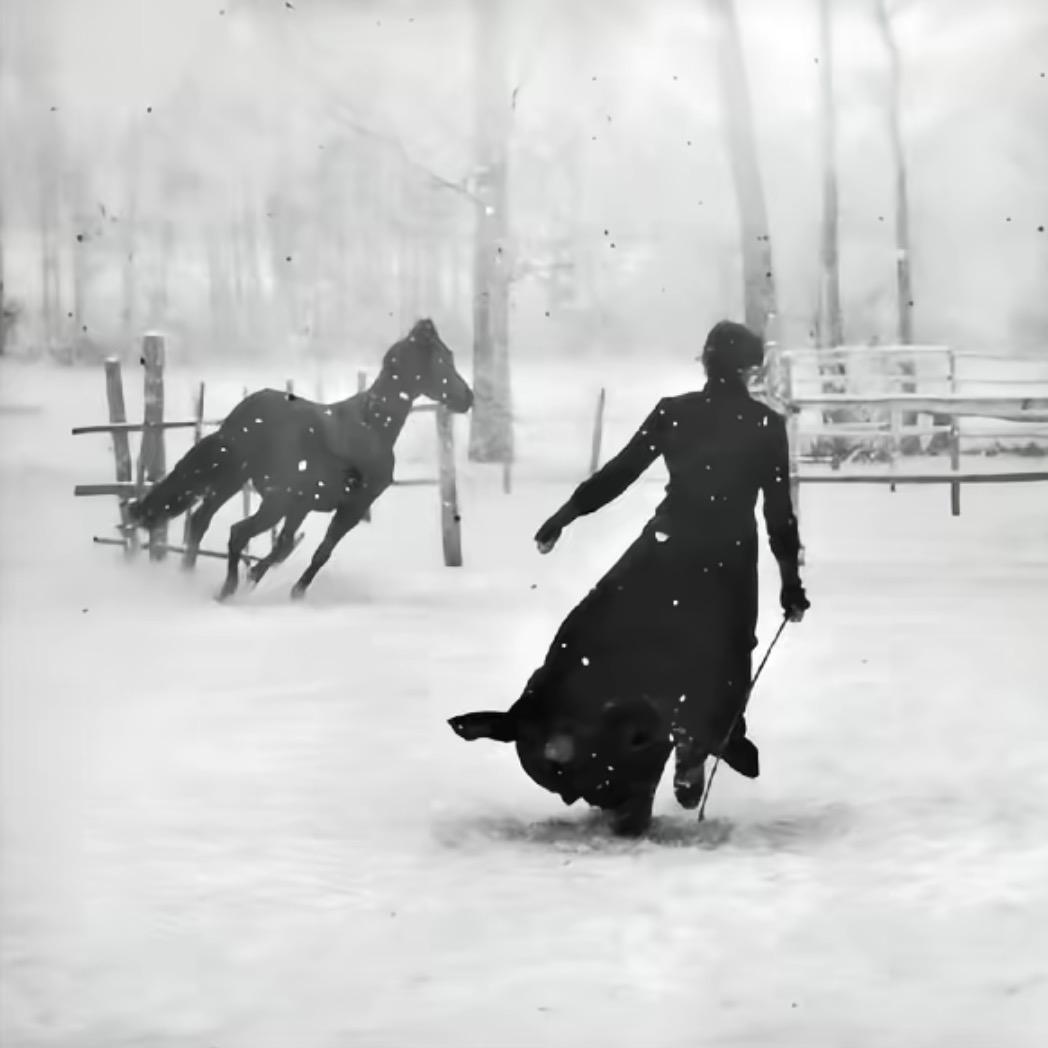 没有 （备战马钞）