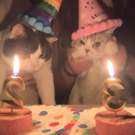 麻辣拌拌拌的一天