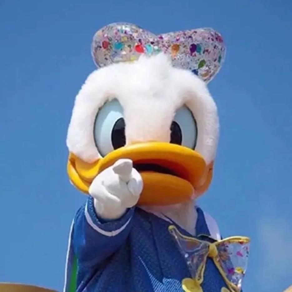 铁铁鸭