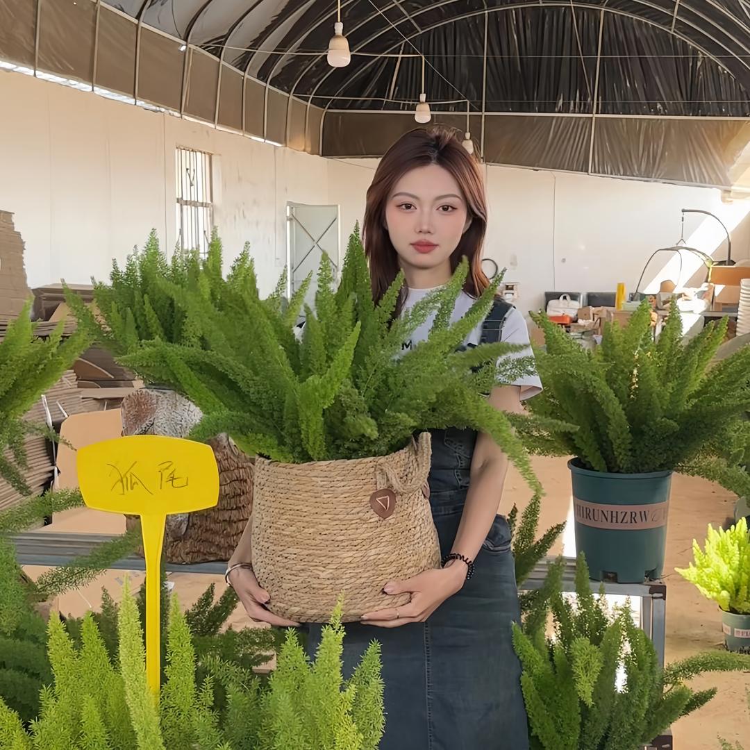 木房子花园