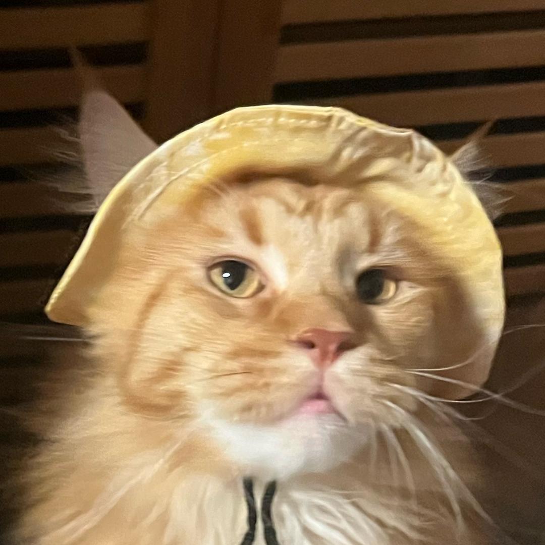 热心市民王阿姨