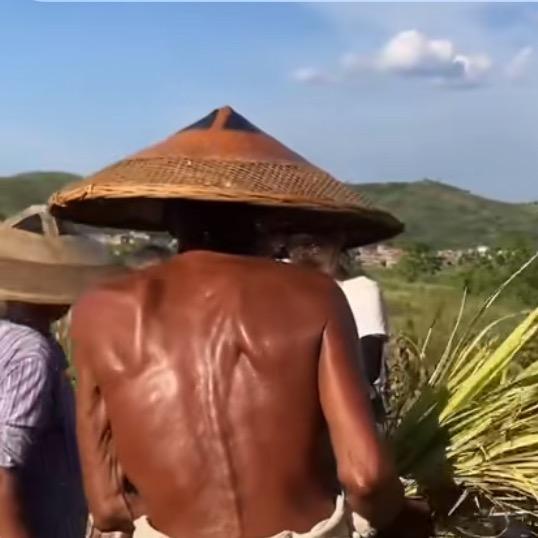 老农山货