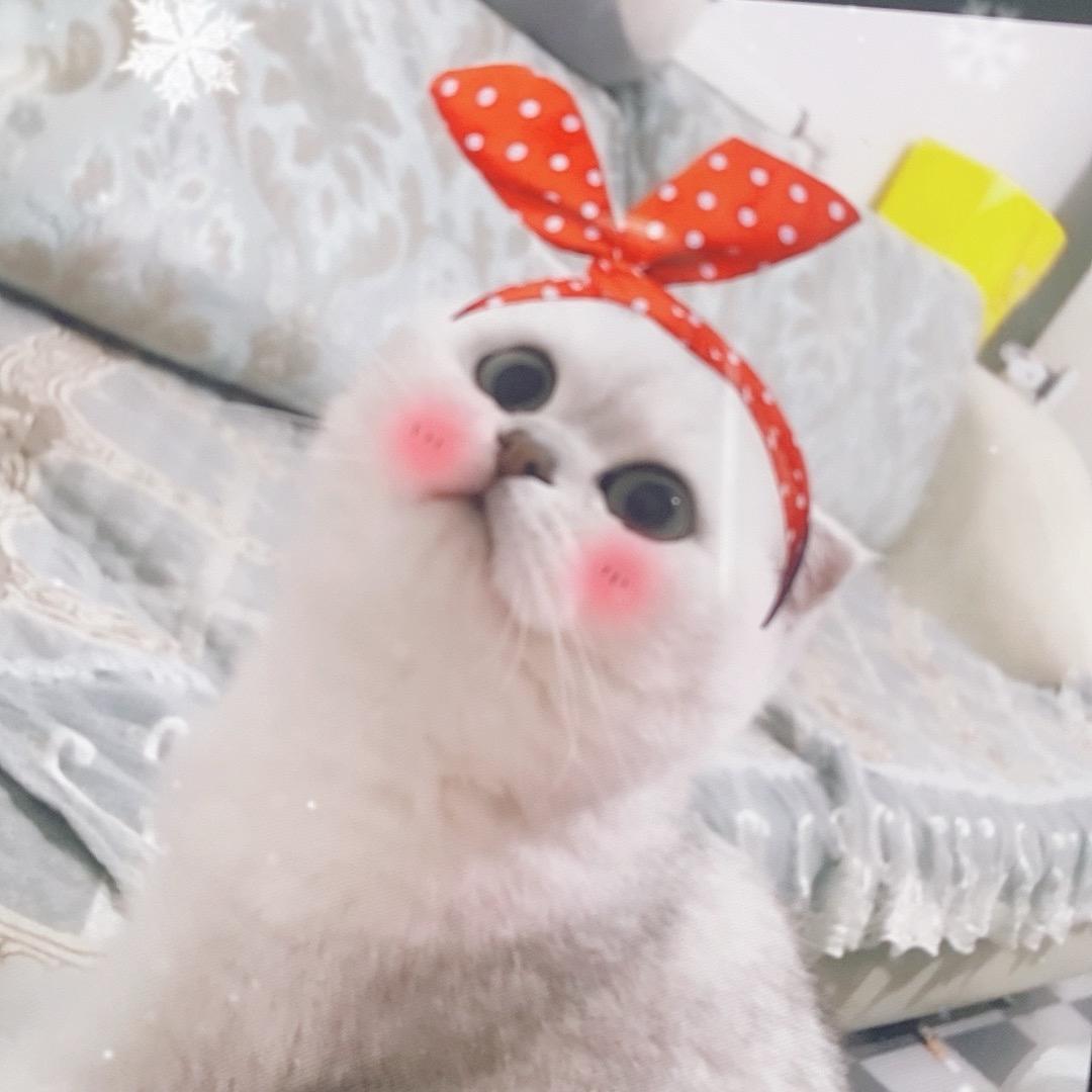 漫漫亦灿灿
