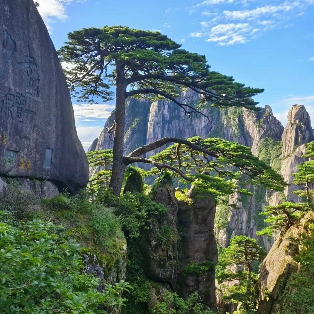 有间花店海口越驰好车工作号