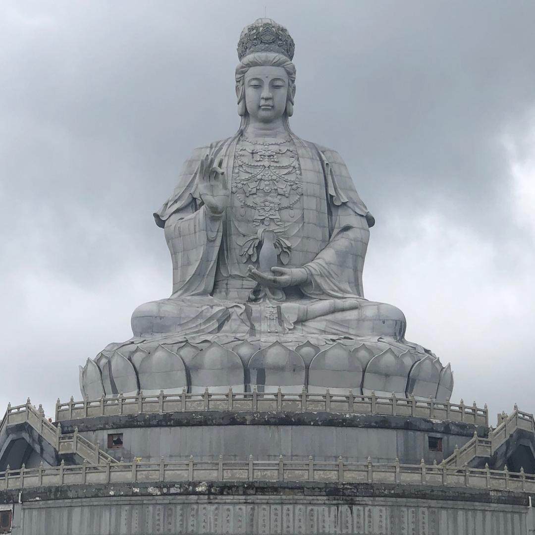 宝 宝