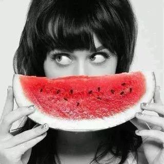 🐶♟️🐶の🐴