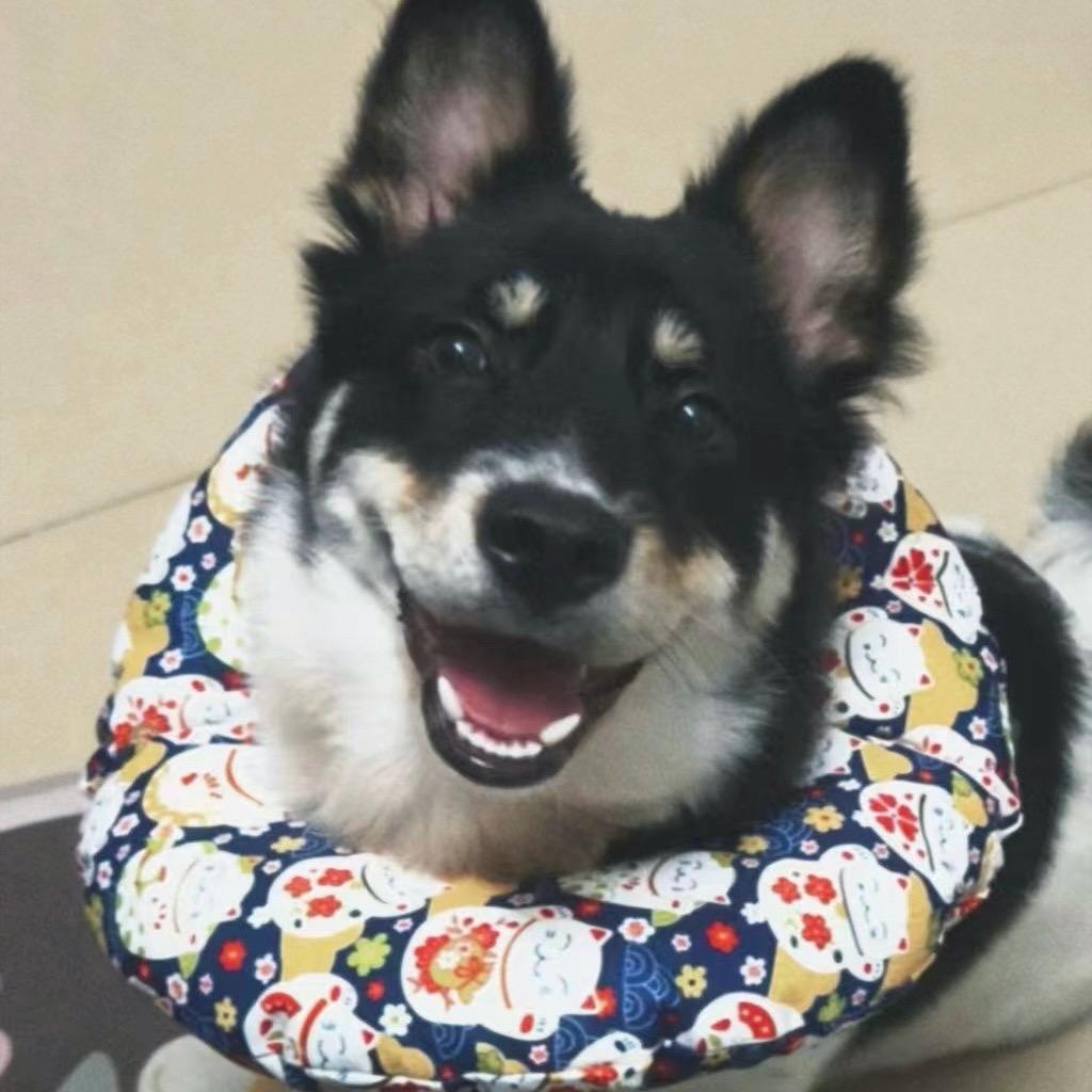 哓谷汇趣屋