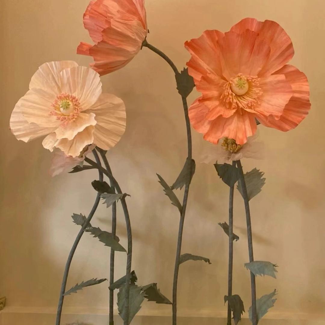 芳芳在这里