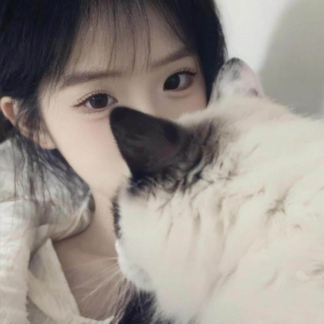 菜菜