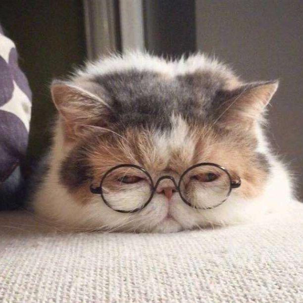 CareyChi（池予宸°）