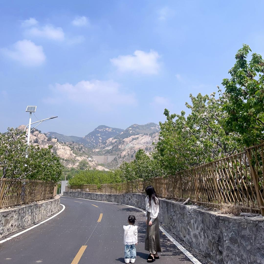 李 小 妮 。（电商包装）