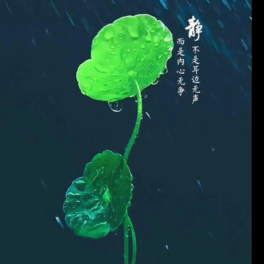 森林的深处